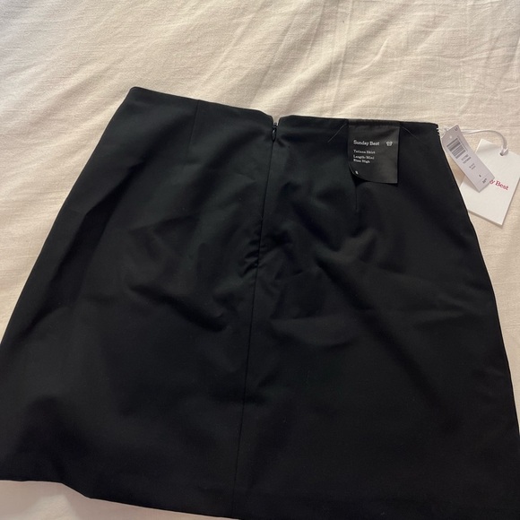 Aritzia, Sunday Best, Tatiana Mini Skirt - Picture 5 of 5